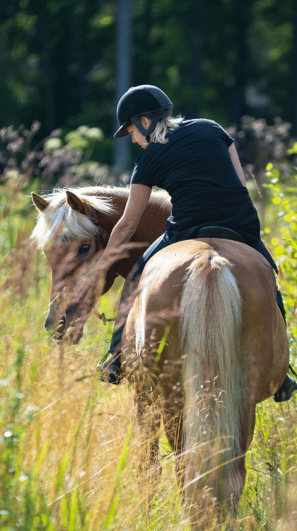 randonnée pedestre sonzay