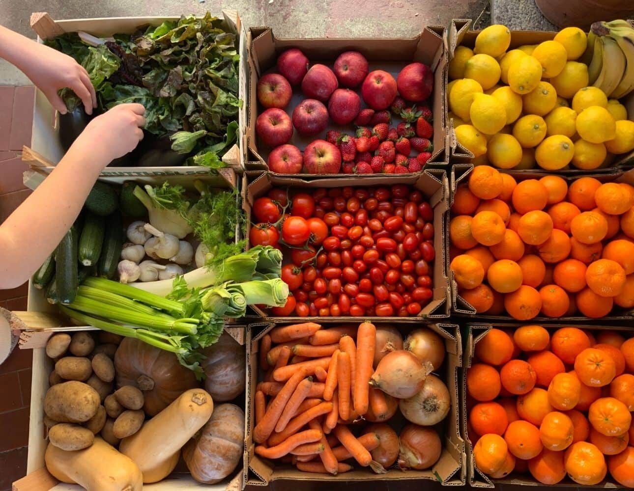 fruit legumes marché