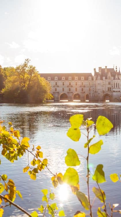 la vallée de la Loire (1)